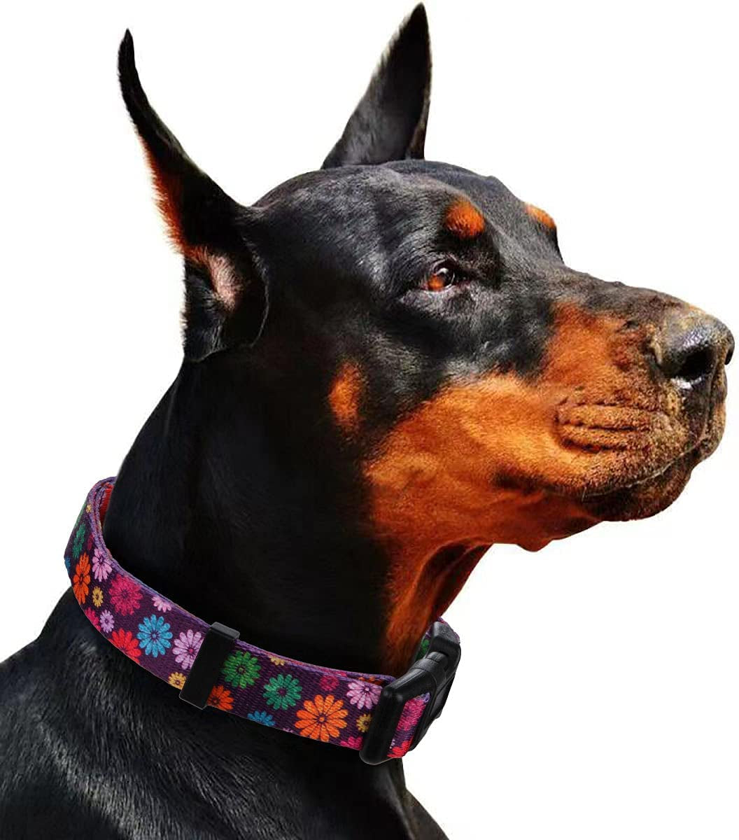 Charming Fall Daisy Pattern Dog Collar for Girls - Vibrant Floral Print in Dark Purple, Large Size