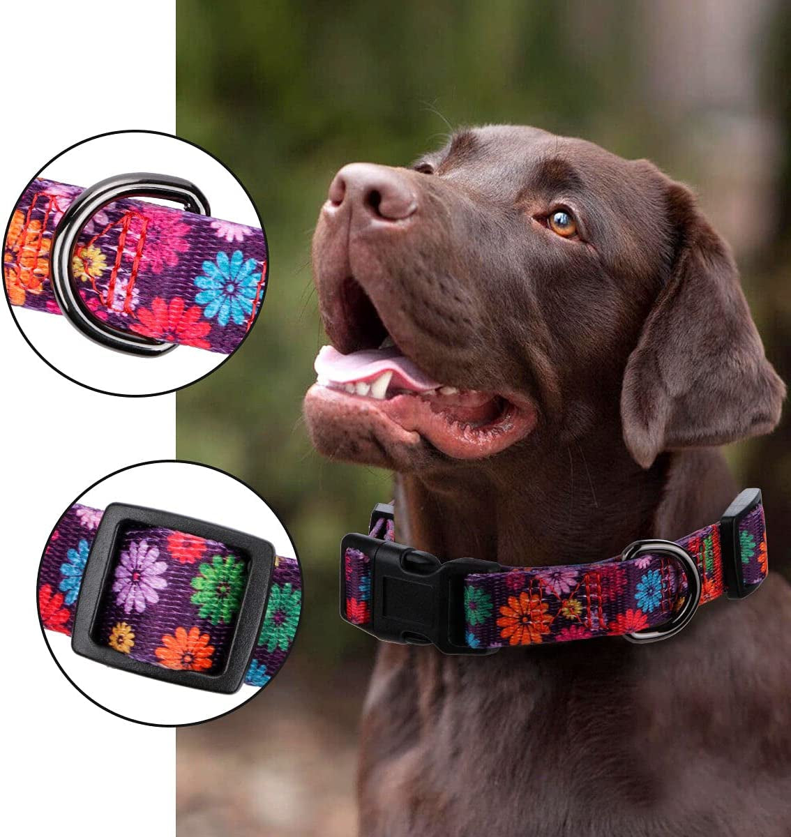 Charming Fall Daisy Pattern Dog Collar for Girls - Vibrant Floral Print in Dark Purple, Large Size
