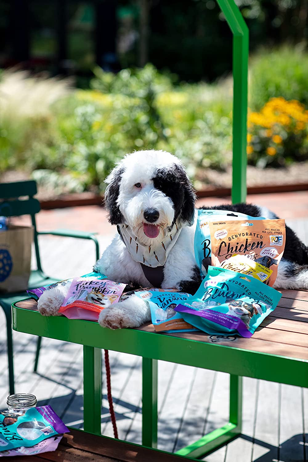 Gourmet Beef & Banana Dog Jerky Treats - 100% Human Grade, USA Made, High Protein, Grain Free, Soft & Tender - 5 Oz