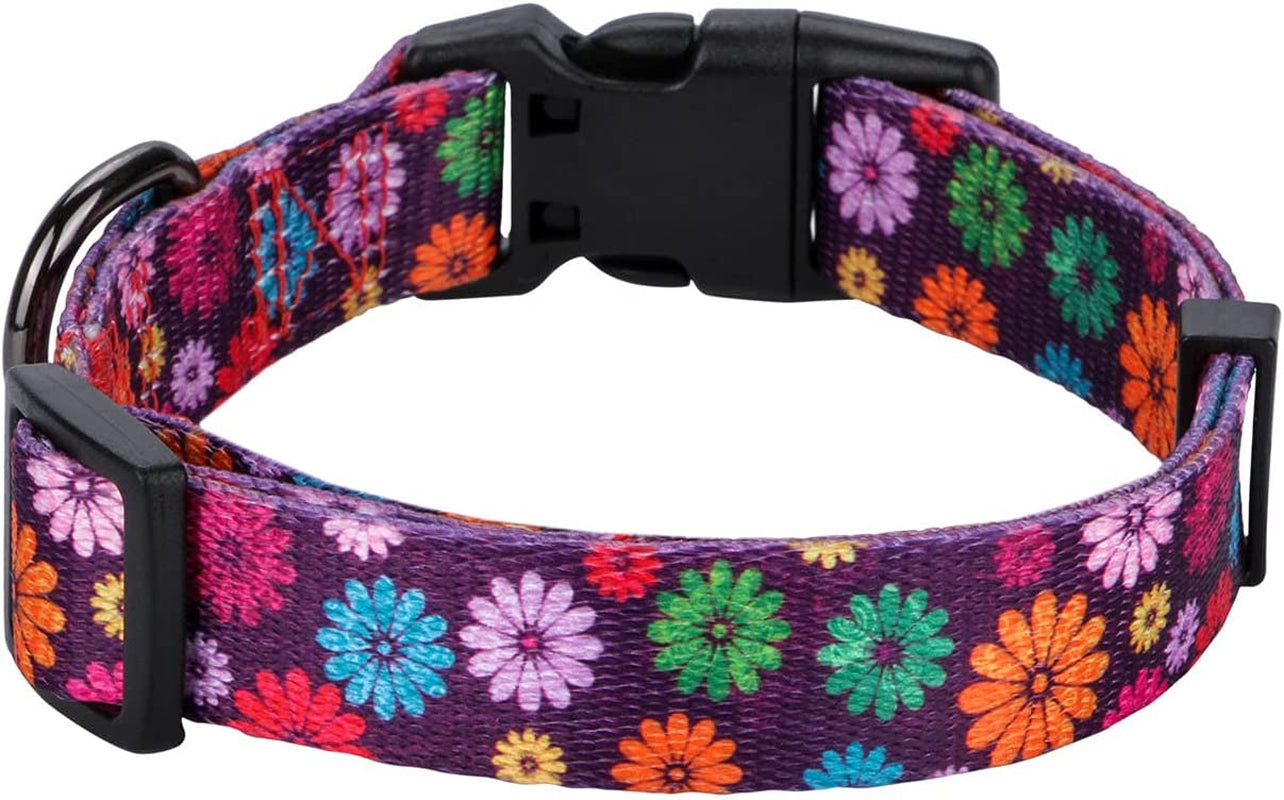 Charming Fall Daisy Pattern Dog Collar for Girls - Vibrant Floral Print in Dark Purple, Large Size