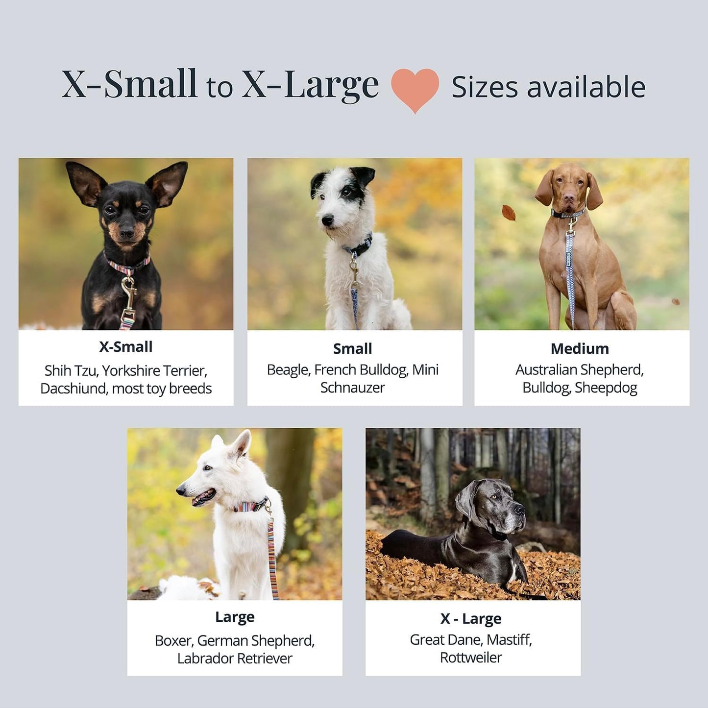 - Adjustable Dog Collar with Easy Click Buckle for Small Dogs, Durable, & Comfortable for Male & Female Dogs, Pet Collar for Puppies & Adult Ones - Jasper, Small